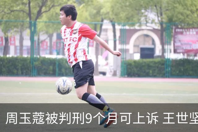 周玉蔻被判刑9个月可上诉 王世坚：正义终将降临